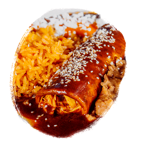 An enchilada topped with red sauce and sesame seeds, an excellent Mexican food option for lunch