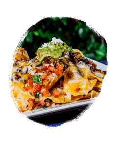 Our nachos covered with cheese and topped with sour cream and guacamole
